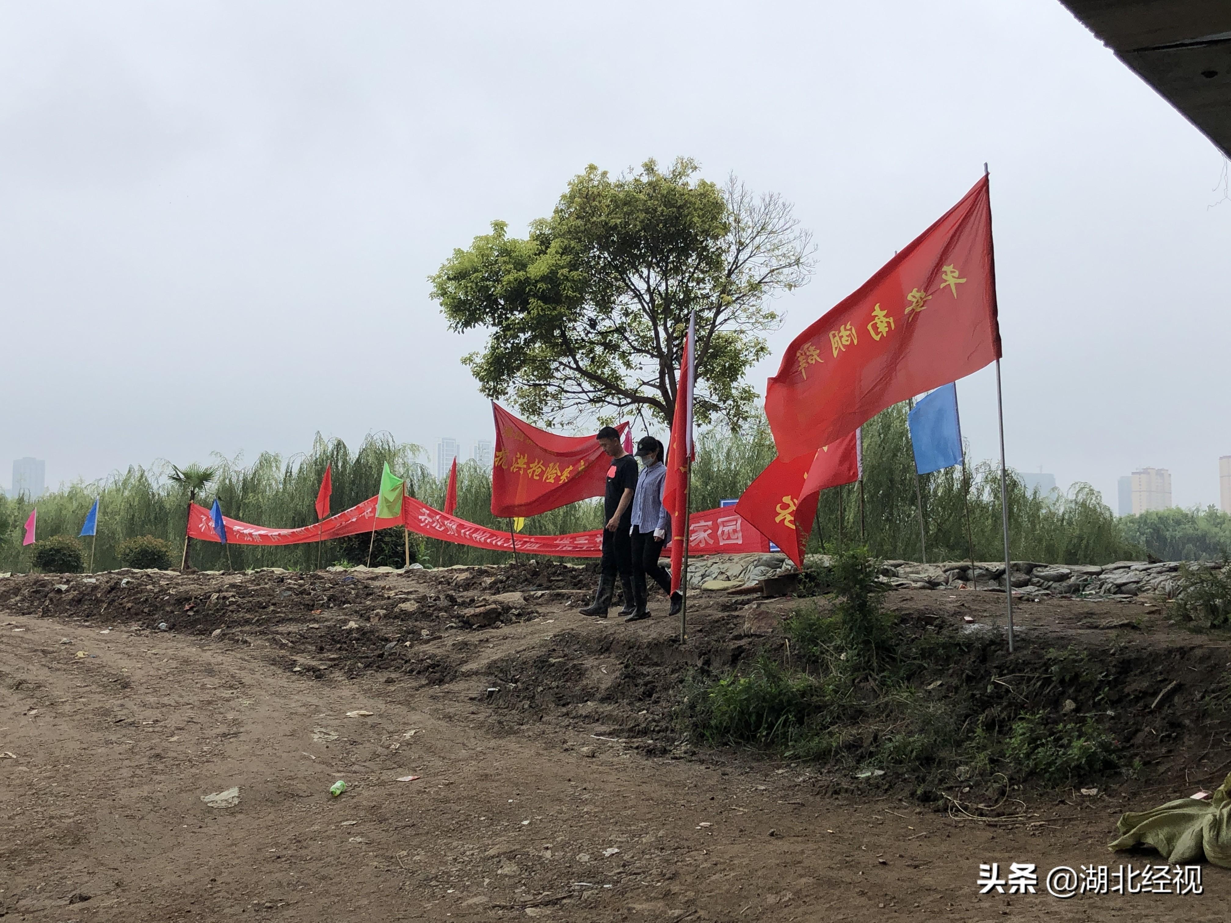 滠口南湖村最新规划发布，乡村振兴新篇章开启